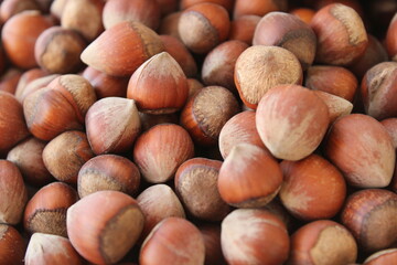 Natural dry hazelnuts close up view, harvested fruits in summer
