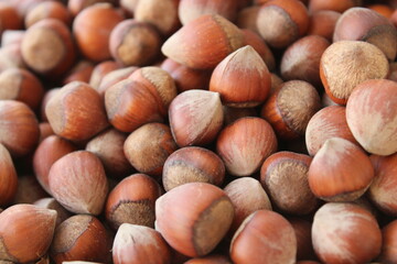 Natural dry hazelnuts close up view, harvested fruits in summer
