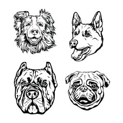 Hand drawn face of dogs. Black and white vector illustration mascot art

