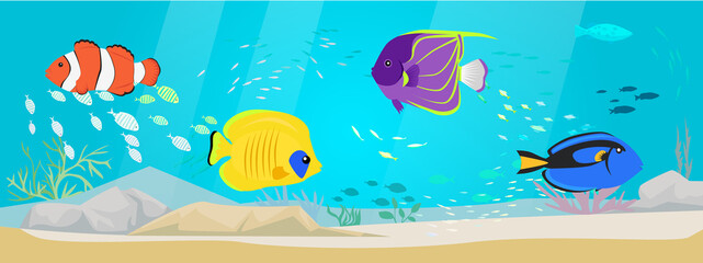 Fototapeta premium Underwater ocean fauna with exotic fishes. Ocean bottom with marine life reprsentatives. Marine underwater world with school of tropical fish. Seascape, undersea landscape vector illustration