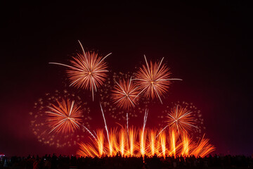 Crowd looks holiday fireworks in dark evening sky.