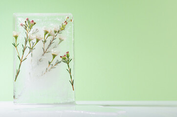 Spring white flowers sakura frozen as rectangle sculpture melt in fresh sunny soft light green...