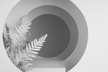 White scene with rectangle stand, fern leaves, round arches, perspective, light, shadow, stage template in modern futuristic abstract garden style for presentation, display, showing product, closeup.