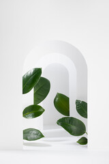 Abstract stage mockup for presentation cosmetic product, goods, design, advertising with soft light white arches, green exotic natural foliage as pedestal in geometric minimalist eco style, vertical.