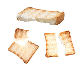 Ripped toasted bread on white background