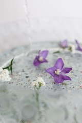 Fototapeta na wymiar into a glass basin with purple flowers floating in the water. against the background of a ceramic table and a white wall. The concept of spa and self-care.