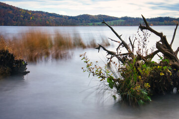 Long exposure of tree stump in the volcanic lake, Laacher See on a fall day in Germany.