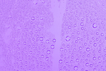 water drops on purple background