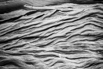 Old wood texture background.