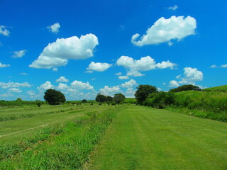 誰もいない真夏の江戸川河川敷風景