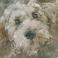 humorous portrait of a cheerful white dog