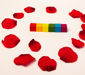 Petals surrounding pieces of wood forming a rainbow symbolising the lgtb flag