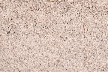 Wet light pink sand with twigs in the forest
