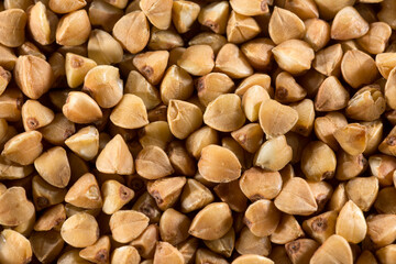 brown buckwheat close-up