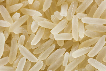 White and yellow rice grains close-up