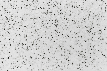 Foam, Polyfoam background. White and black space for text. White and black textured foam. 