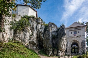 Zamek w Ojcowie