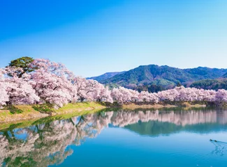 Deurstickers 春イメージ　信州の桜風景 © oben901