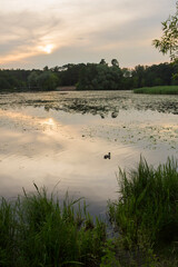 Beautiful nature with pond lake, green trees foliage, grass and  clouds in the background. Afternoon panorama landscape at Pokrovskoe Streshnevo urban forest park, Moscow, Russia