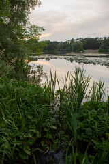 Beautiful nature with pond lake, green trees foliage, grass and  clouds in the background. Afternoon panorama landscape at Pokrovskoe Streshnevo urban forest park, Moscow, Russia