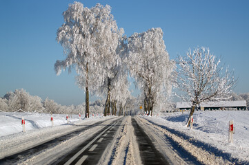 Zimowa sceneria oszronione drzewa wzdłuż drogi - obrazy, fototapety, plakaty