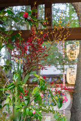 新年のお祝いをする生け花　赤坂氷川神社の手水舎に飾られた生け花