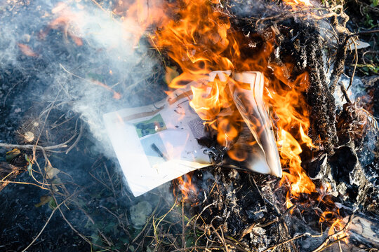 burning photography magazine in fire on pile of trimmed branches in country garden on sunny day
