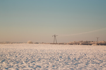 Zimowy krajobraz drewniane słupy z drutem elektrycznym na ośnieżonym polu - obrazy, fototapety, plakaty