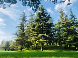 turkey botanical park