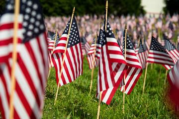 Hundreds of American flags planted on the lawn in America