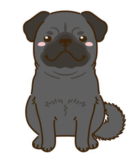 黒パグ