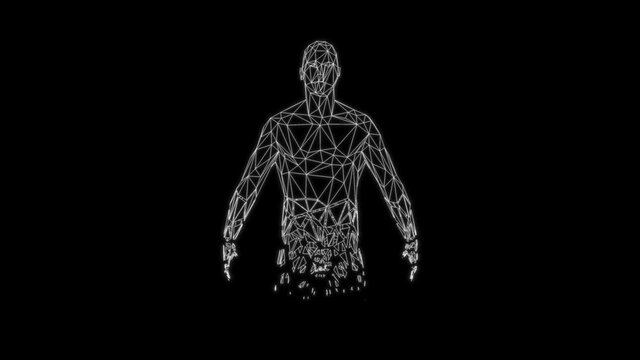 Rotating low poly 3d Human Female and Male figures formed by white lines loop
