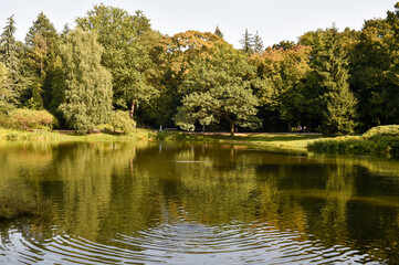 Lake in Royal Baths Park in Warsaw