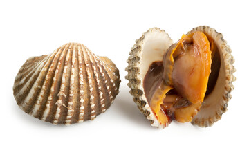 Fresh Homemade Steamed and Boiled Cockles on white background. Clipping path