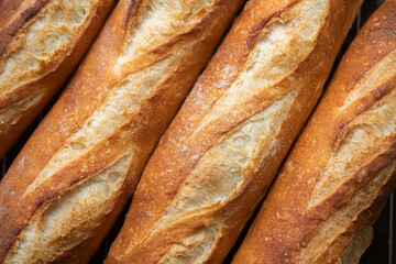 Batch of freshly baked baguettes background.