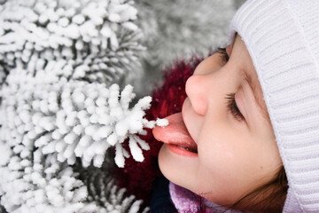 A smoll girl eating snow from tree branches. Christmas mood in the winter forest