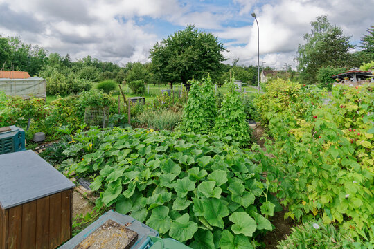 Gem&uuml;segarten