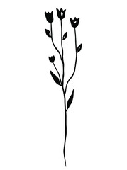 Black herb. Vector clipart. Hand drawn