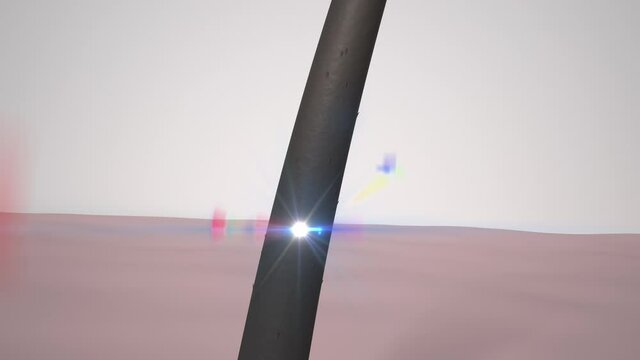 Hair care, Animation Nourish hair action of shampoo or serum. Repair damaged hair. 3d Animation