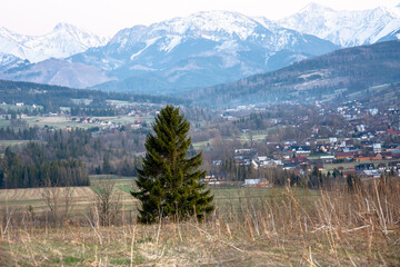przygoda © RASSUMSEN