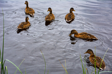 przygoda © RASSUMSEN