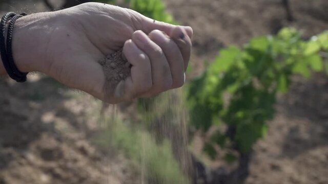Tierra seca de un vi&ntilde;edo en la mano, bodega de vino  