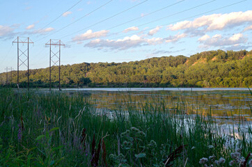 lilydale park and pickerel lake