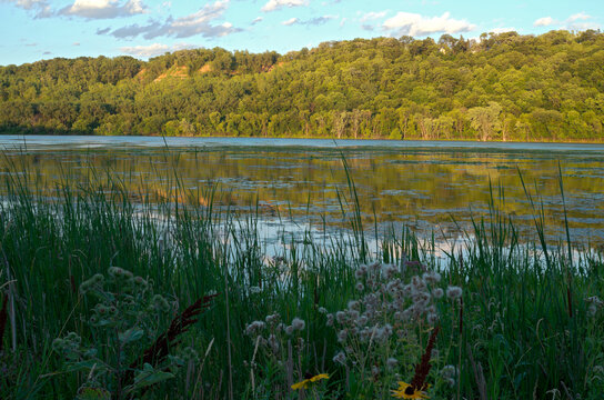 pickerel lake and forest of lilydale park