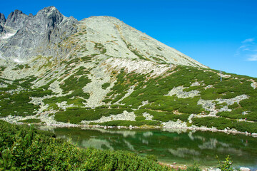 przygoda © RASSUMSEN