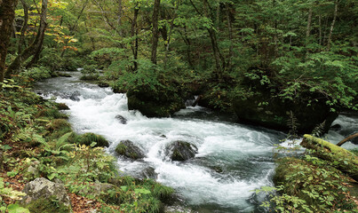 流れの速い渓流