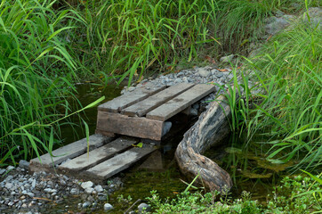 brook path and wooden step
