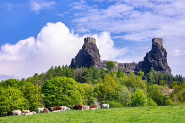 Fototapeta Trosky Castle, Bohemian Paradise (Cesky Raj), Czech Republic obraz
