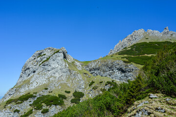 podróż
