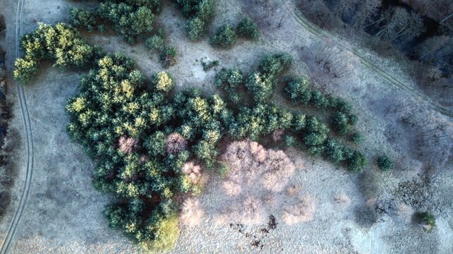 Drone view